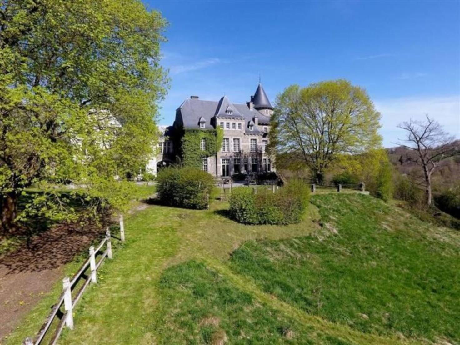 Le Petit Chateau De Blier Villa Érezée Esterno foto
